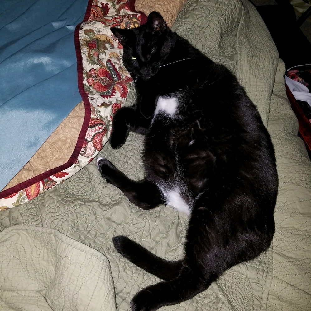 Meet your Posher, Kendra