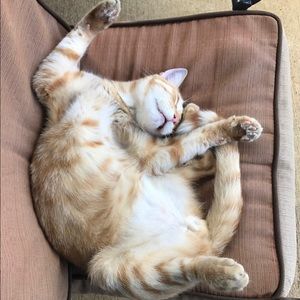 Meet your Posher, Elaine