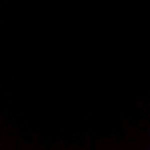 Meet your Posher, Zaniel