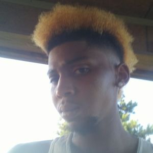 Meet your Posher, Hollis