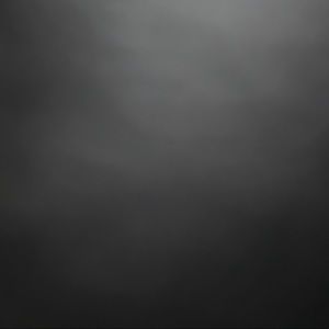 Meet your Posher, Plug