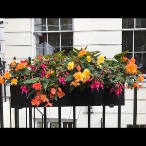 Meet your Posher, Christie