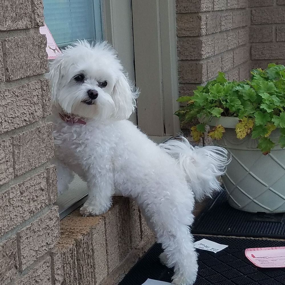 Meet your Posher, April