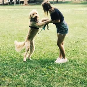 Meet your Posher, Becca