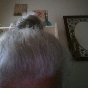 Meet your Posher, Robin