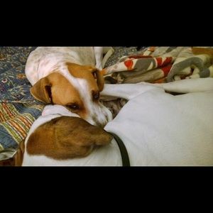 Meet your Posher, Abbie