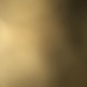 Meet your Posher, Shawna