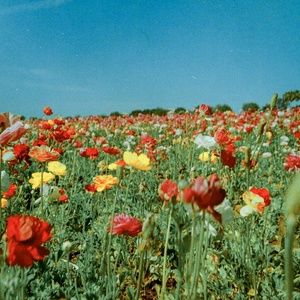 Meet your Posher, Lorena