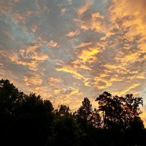 Meet your Posher, Brigitte