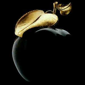 Meet your Posher, Shanta