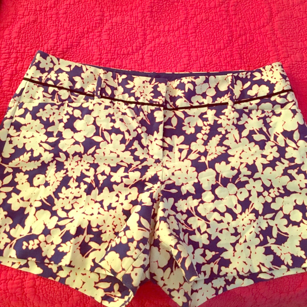 The Limited Navy Blue/Red Shorts Daisy Print