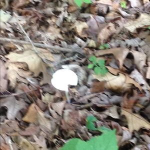 Meet your Posher, Richard