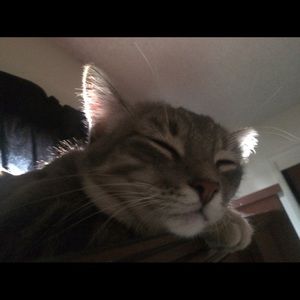 Meet your Posher, Angella