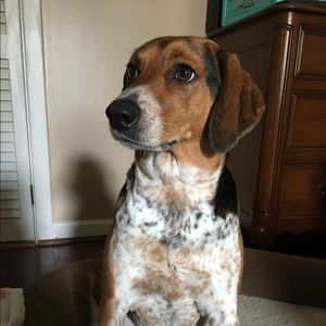 Meet your Posher, Liyanga