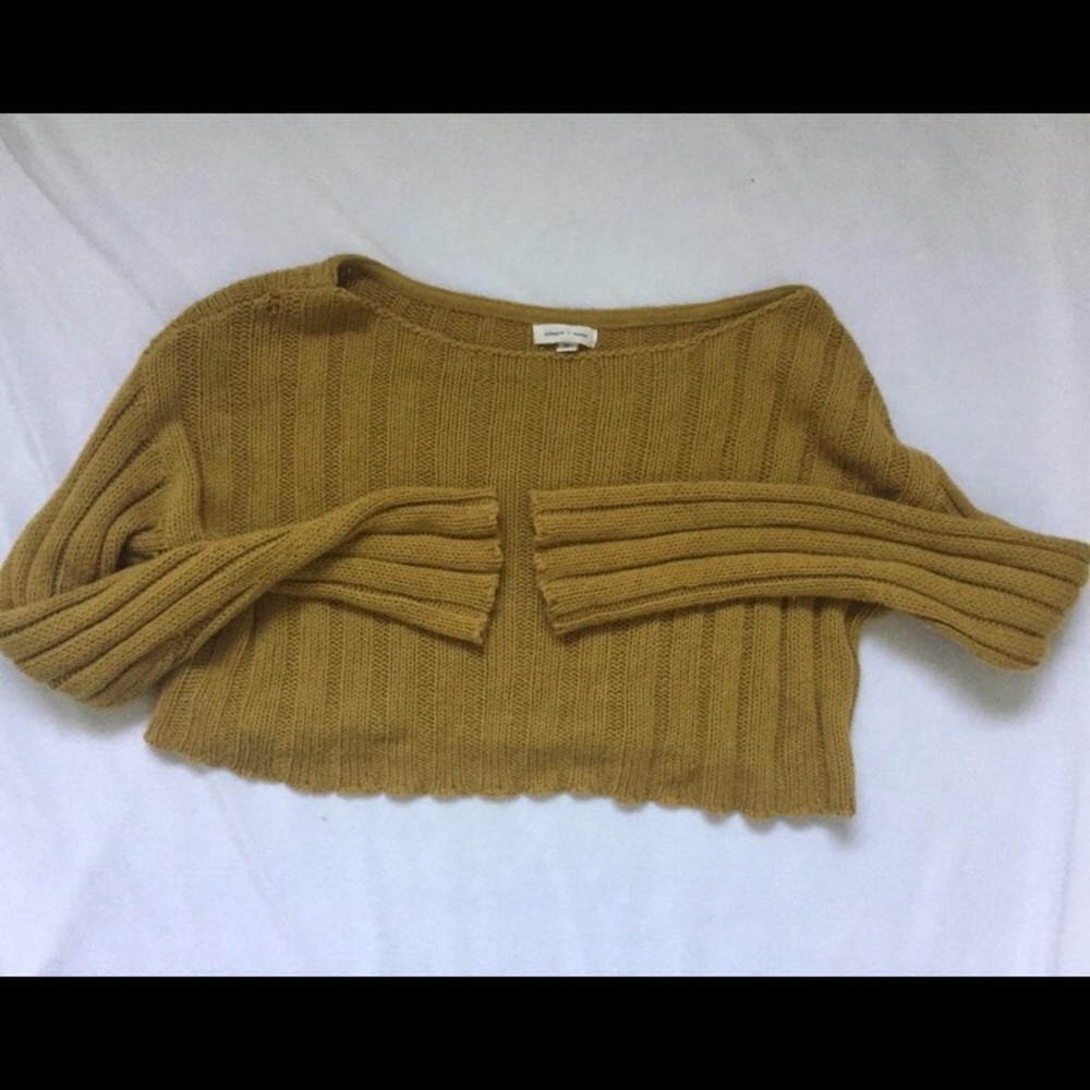 Silence + Noise Crop Sweater