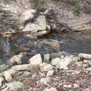 Meet your Posher, Corbin