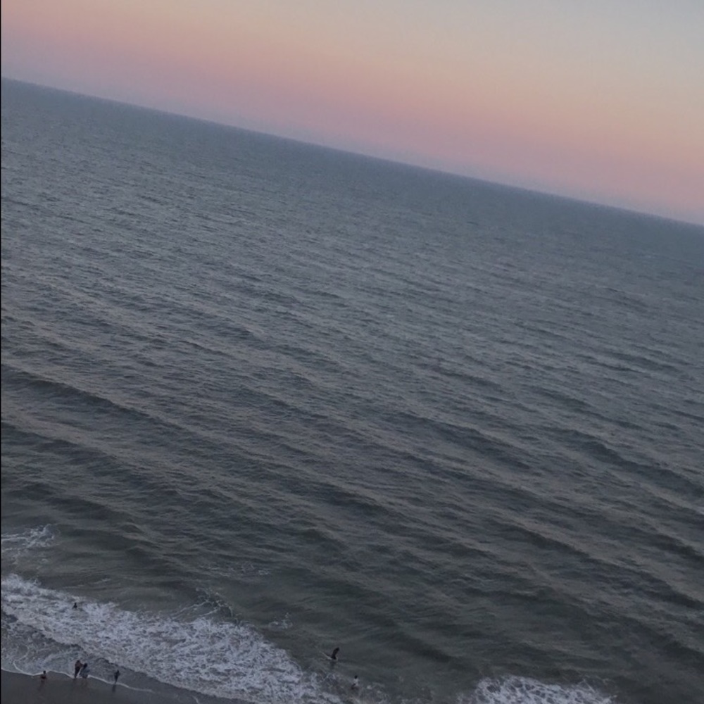 Meet your Posher, Courtney