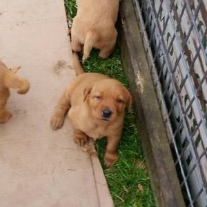 Meet your Posher, Bryce