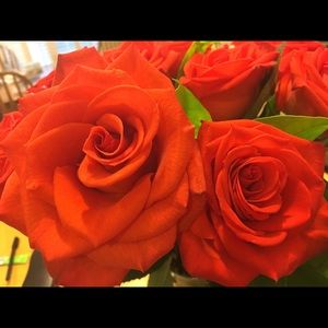 Meet your Posher, Beth