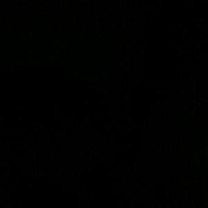 Meet your Posher, Bryce