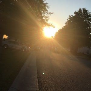 Meet your Posher, Savannah