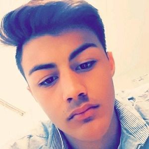 Meet your Posher, Dylan