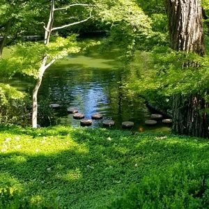 Meet your Posher, Sandy