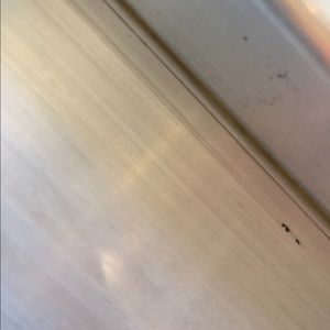 Meet your Posher, Lilly