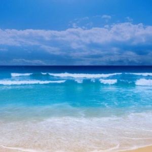 Meet your Posher, Brenna