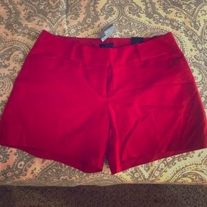 Cute red Limited shorts, New with tags!