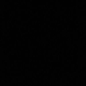 Meet your Posher, Asha