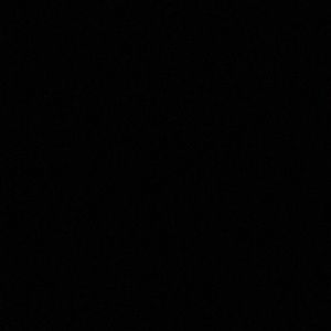 Meet your Posher, Raegan