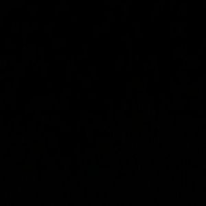 Meet your Posher, Efren