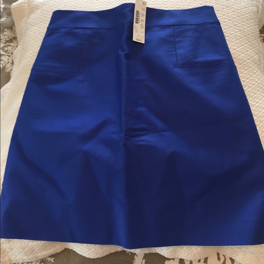 J crew mini skirt