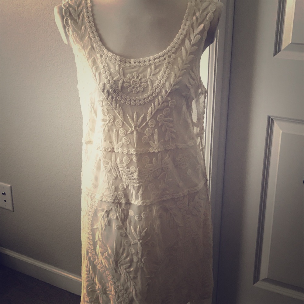 NEW express lace dress with under camisole.  Sz L