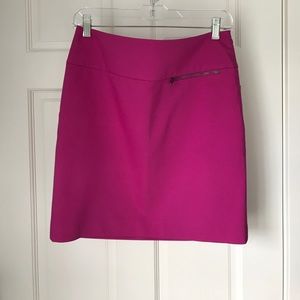 Ann Taylor skirt