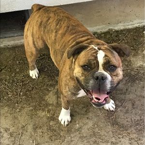 Meet your Posher, Jonathan