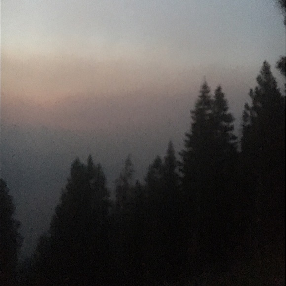 Meet your Posher, Caleb - Picture 1 of 1