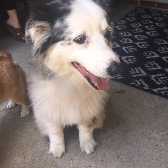 Meet your Posher, Elana - Picture 2 of 5