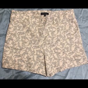 The Limited Ladies Shorts