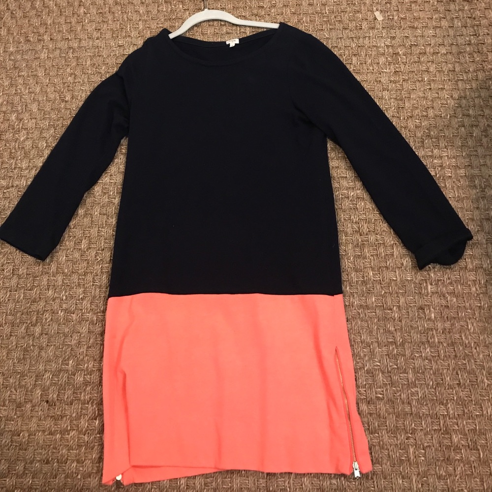 J Crew Dress