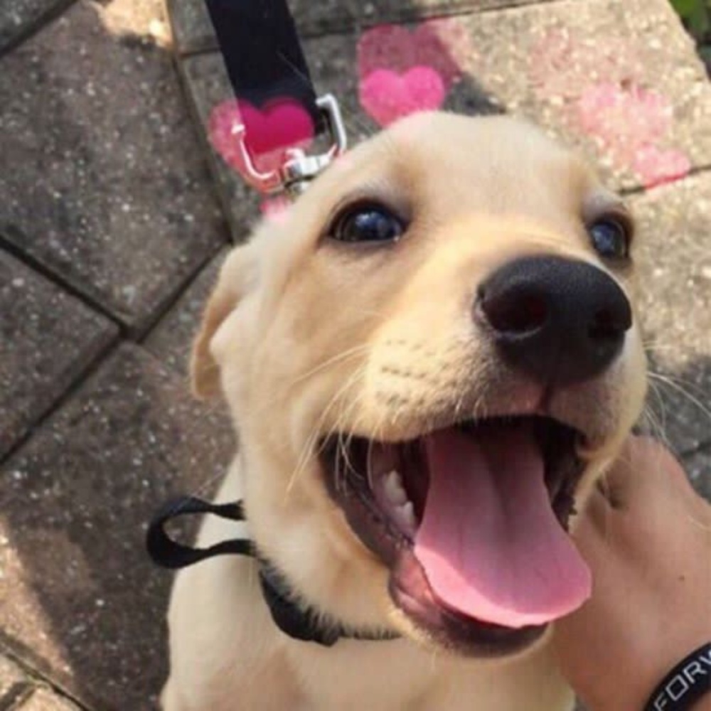 Meet your Posher, Nathaly