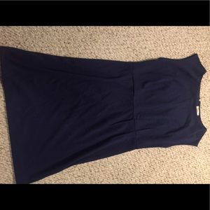 Anne Taylor Loft dress.