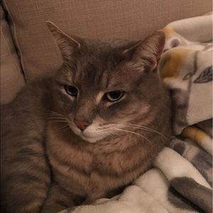 Meet your Posher, Bethany