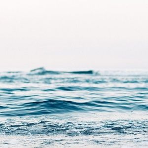 Meet your Posher, Bojura