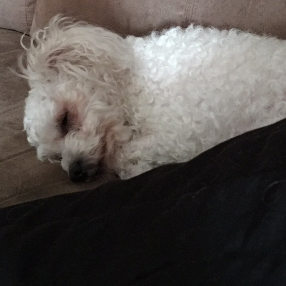 Meet your Posher, Maria