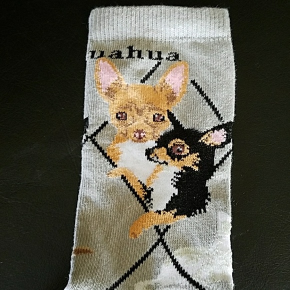 New Chihuahua socks - Picture 2 of 5