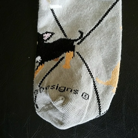 New Chihuahua socks - Picture 3 of 5