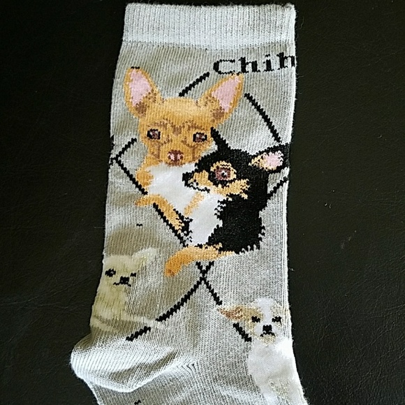 New Chihuahua socks - Picture 4 of 5