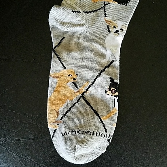 New Chihuahua socks - Picture 5 of 5
